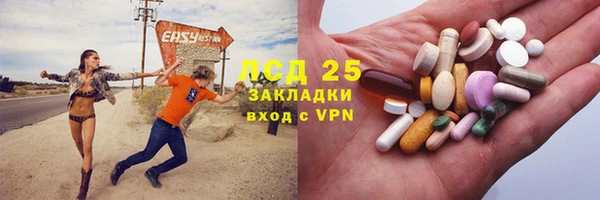 мяу мяу мука Аркадак