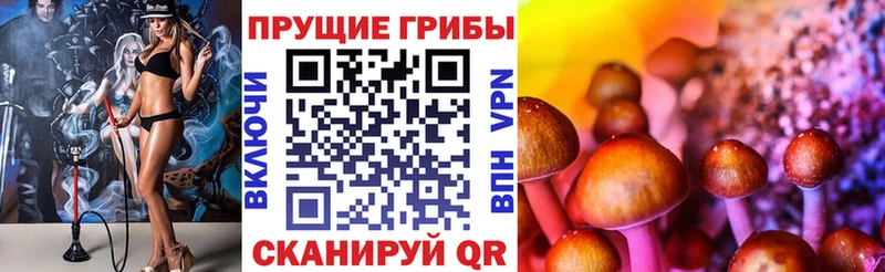 Псилоцибиновые грибы Psilocybine cubensis  Купить  Ессентукская 