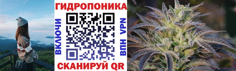 Купить где  Ессентукская  МАРИХУАНА THC 21% 